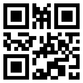 3300653031 - Immagine del Qr Code associato