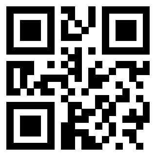 3300653089 Qr Code associato