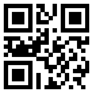 3300653099 QrCode associato