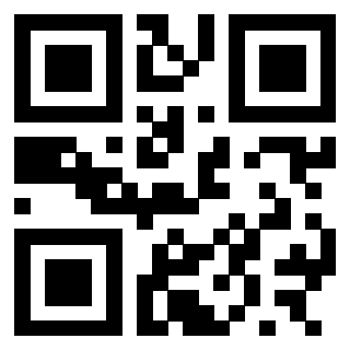 3300653131 Qr Code associato