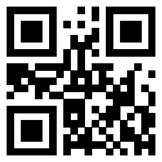 3300653319 - Immagine del QrCode