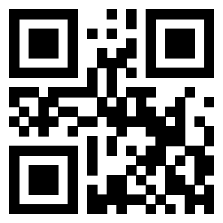 Il Qr Code di 3300653359