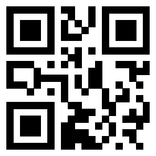 3300653456 - Immagine del QrCode