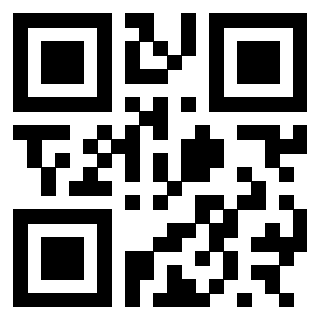 Il Qr Code di 3300653579