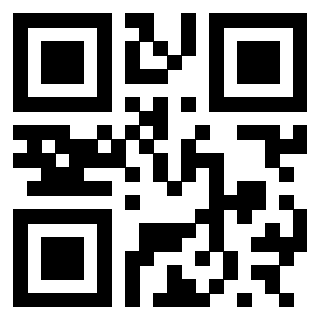 3300673385 - Immagine del Qr Code associato