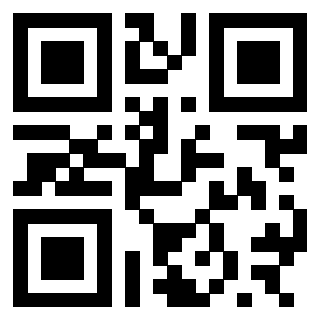 3300697341 - Immagine del QrCode