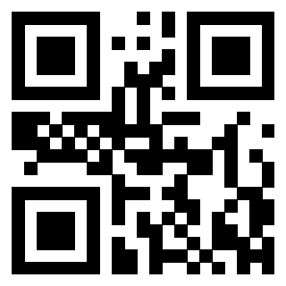 3300697487 - Immagine del Qr Code associato