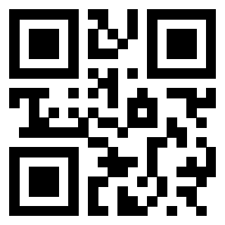 3300697537 - Immagine del Qr Code associato