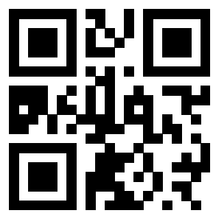 Il Qr Code di 3300697541