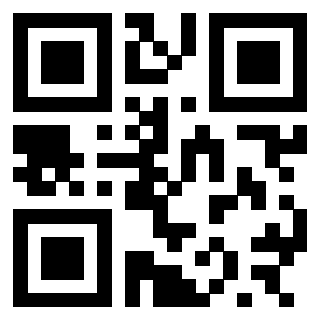 3300697556 - Immagine del QrCode