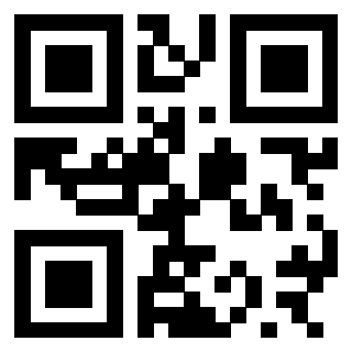 Il Qr Code di 3300697582