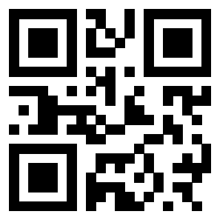 Il Qr Code di 3300697971