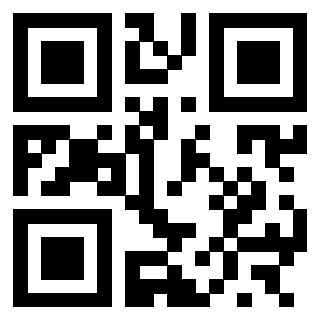 3300726992 - Immagine del QrCode associato