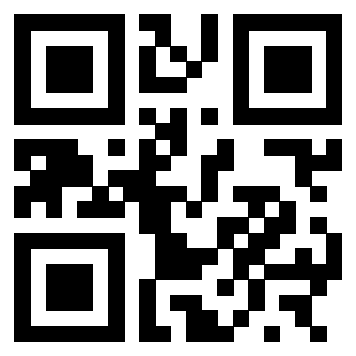 3300727429 - Immagine del QrCode associato
