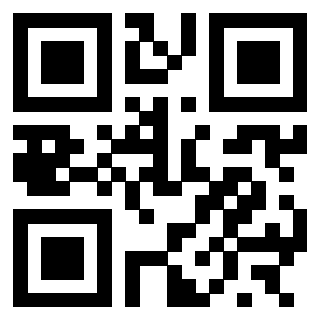 3300727638 - Immagine del QrCode
