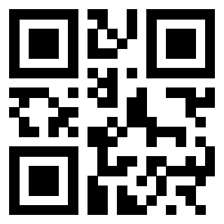 3300733493 - Immagine del Qr Code