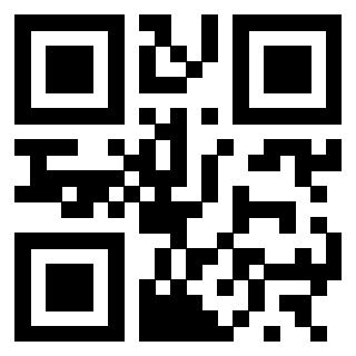 3300733691 - Immagine del QrCode