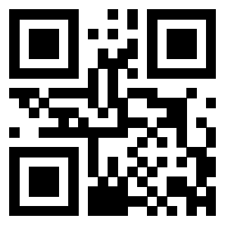 Il Qr Code di 3300733884