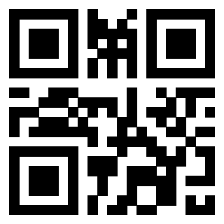 3300733894 - Immagine del QrCode