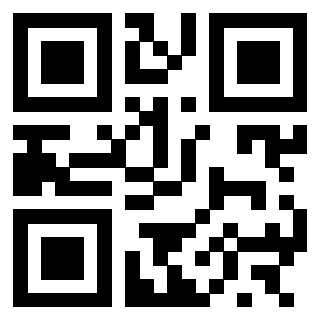 Il Qr Code di 3300733920