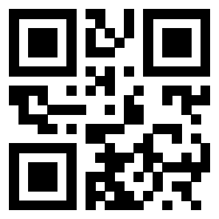 Il Qr Code di 3300733935