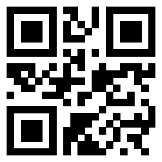 3300743810 - Immagine del QrCode associato