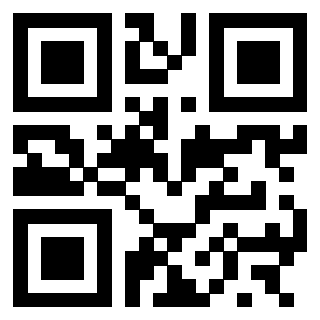 Il Qr Code di 3300743838