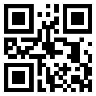 3300743899 - Immagine del QrCode