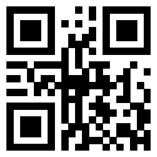 3300744353 - Immagine del QrCode associato