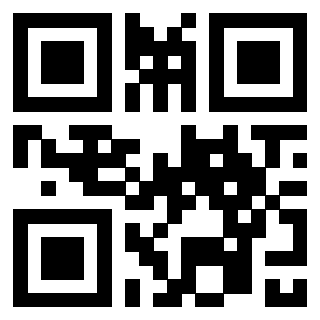 3300744378 - Immagine del QrCode
