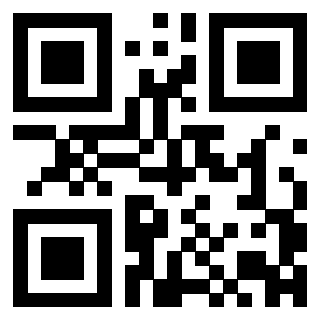 Il Qr Code di 3300744384