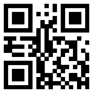 3300744687 - Immagine del QrCode