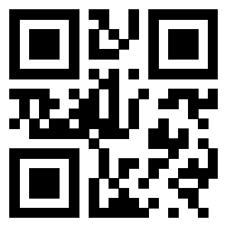 3300816653 - Immagine del QrCode