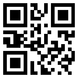 3300816919 - Immagine del Qr Code