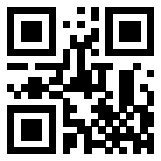 3300816933 - Immagine del QrCode
