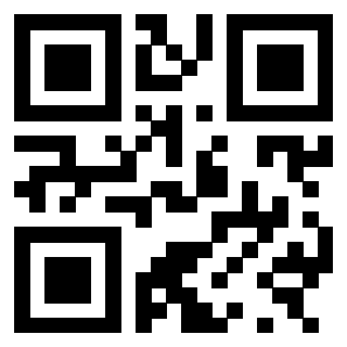 3300816938 QrCode associato