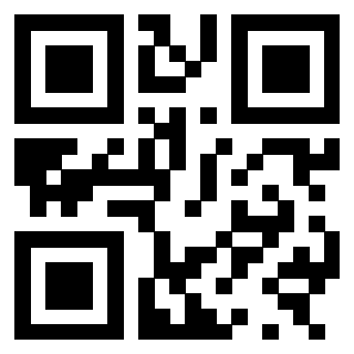 3300817031 QrCode associato