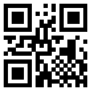 Il Qr Code di 3300819910
