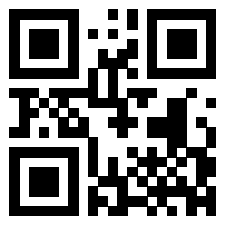 3300819919 - Immagine del QrCode