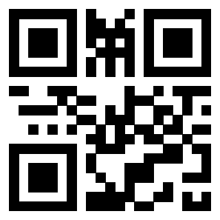 3300820009 Qr Code associato