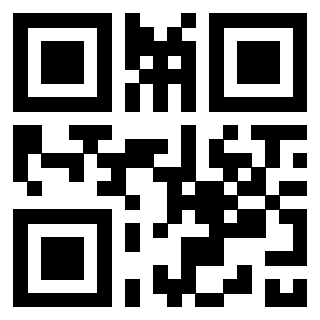 3300820137 - Immagine del QrCode associato