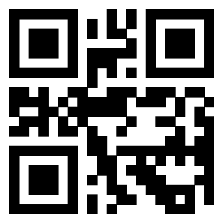 3300820256 QrCode associato