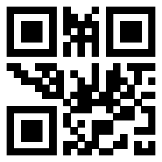 3300820404 - Immagine del QrCode associato