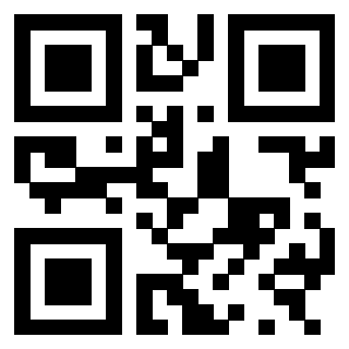 3300820454 - Immagine del QrCode