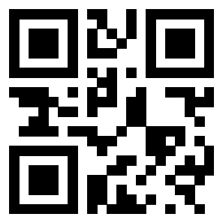 3300820456 - Immagine del QrCode