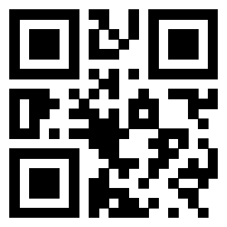 3300820533 QrCode associato