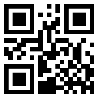 3300878125 - Immagine del Qr Code associato