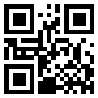 Il Qr Code di 3300878128