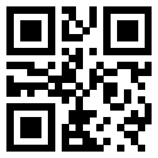 3300878252 - Immagine del QrCode associato