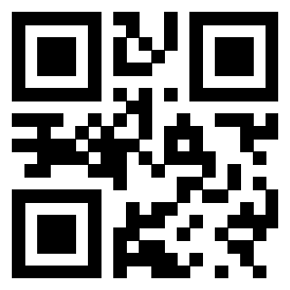 3300878538 - Immagine del QrCode
